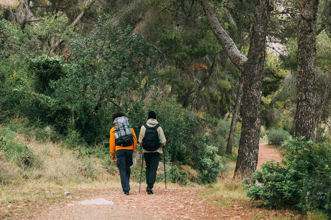 Forest Bathing for Longevity