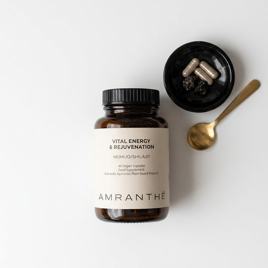 Énergie vitale (Shilajit)
